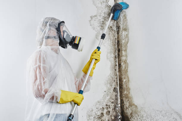 Water Damage Restoration in Forest Acres, SC