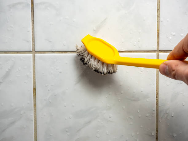 Best Mold Testing  in Forest Acres, SC
