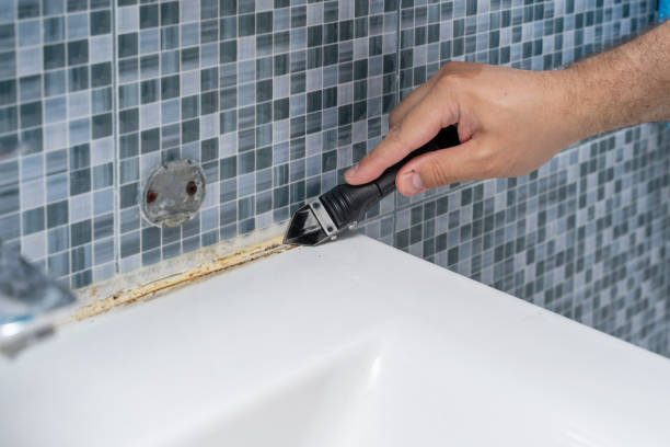 Best Black Mold Removal  in Forest Acres, SC