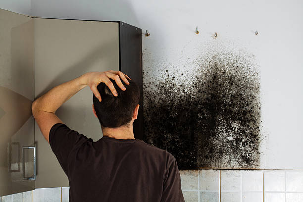 Best Office Mold Removal Services  in Forest Acres, SC